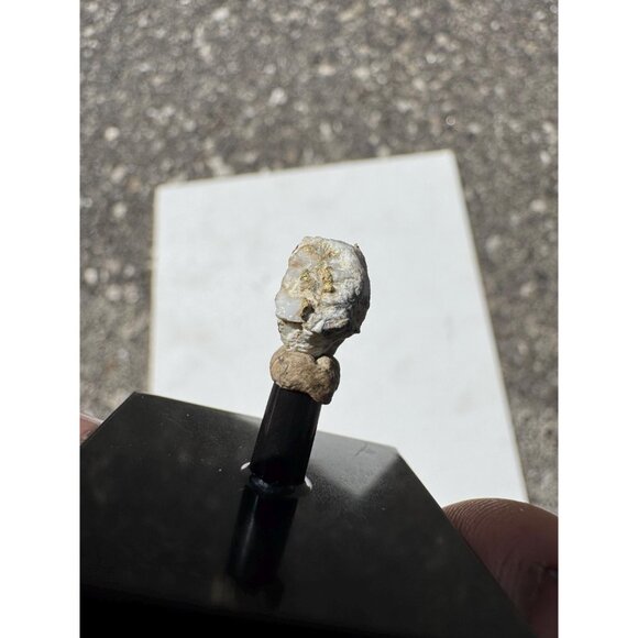 Gold on Quartz - Natural California Gold Specimen in Perky Display Box #6 - Picture 9 of 9